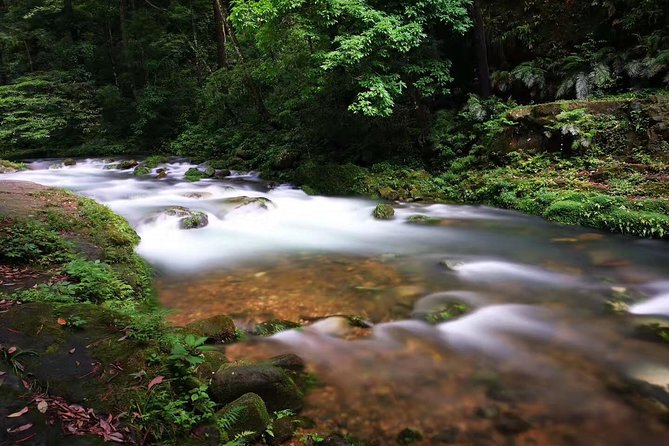 3-Day Private Zhangjiajie In-depth Exploring Tour(All Inclusive) - Inclusions and Exclusions