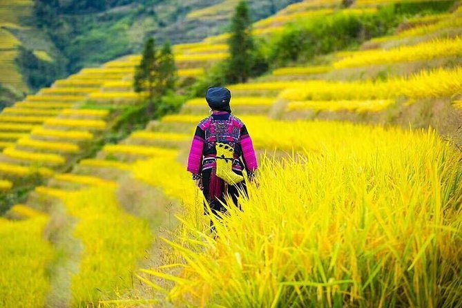 Longji Rice Terraces & Minority Villages Private Day Tour - Booking Information