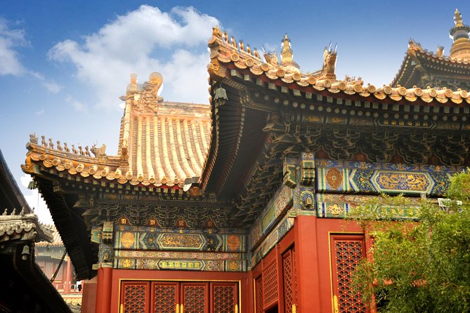 Full-Day Beijing City Tour: Hutongs, Lama Temple and Panda House - Tour Itinerary Highlights