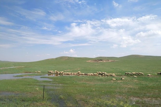 Inner Mongolia Private Customized 5-Day Tour With Guide  - Hohhot - Tour Highlights